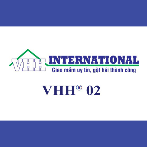 VH2000F - Phụ gia siêu dẻo cao cấp, duy trì độ sụt dài lâu cho hỗn hợp bê tông